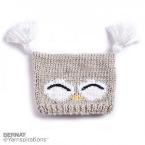 Bernat I'm a Hoot! Knit Hat